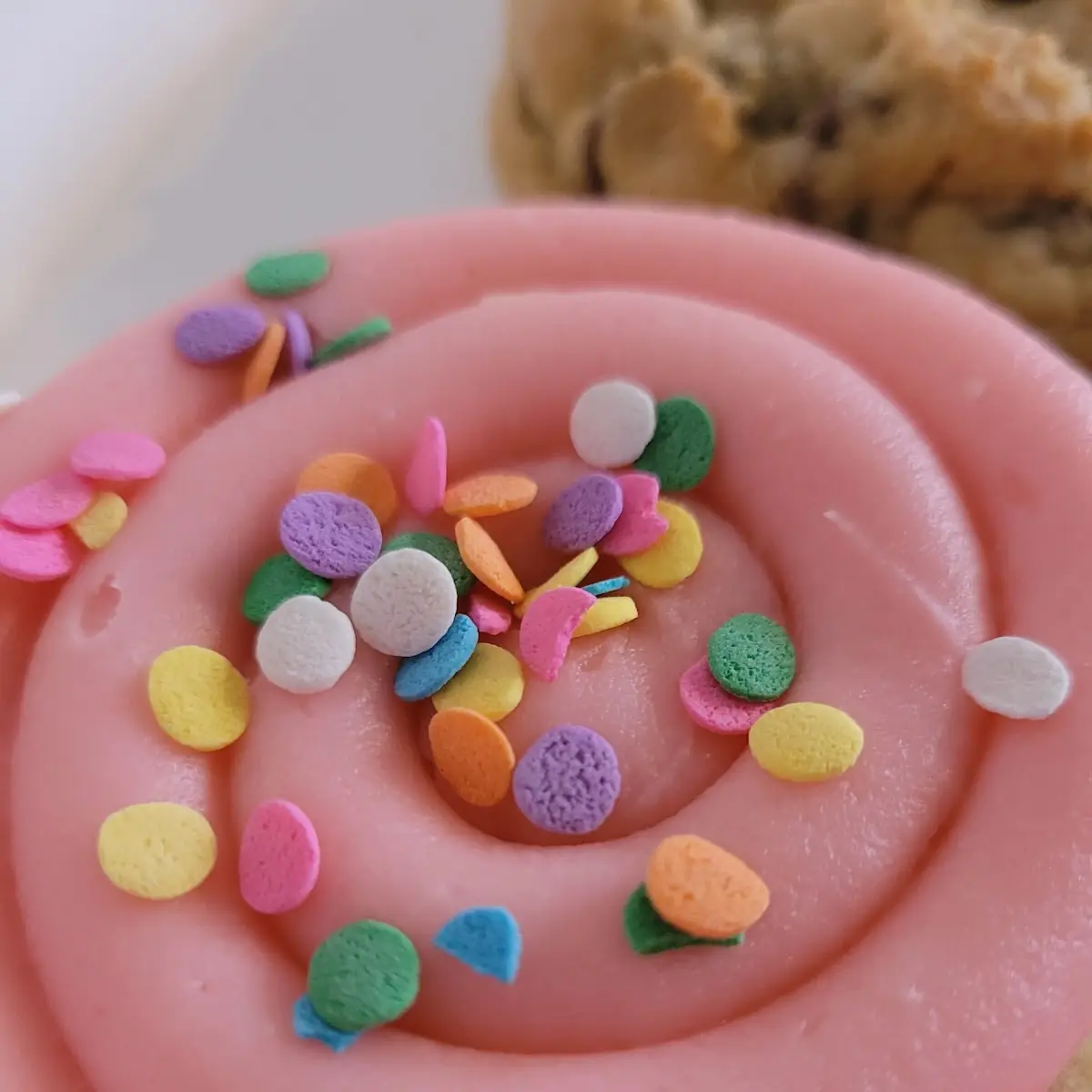 Iced Sugar Cookie