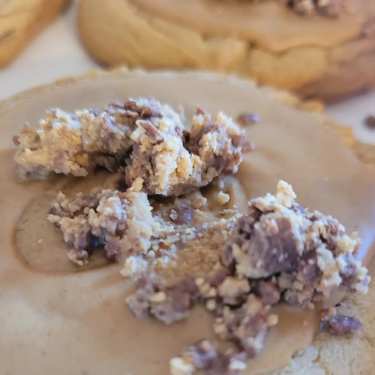 Peanut Butter Cookie