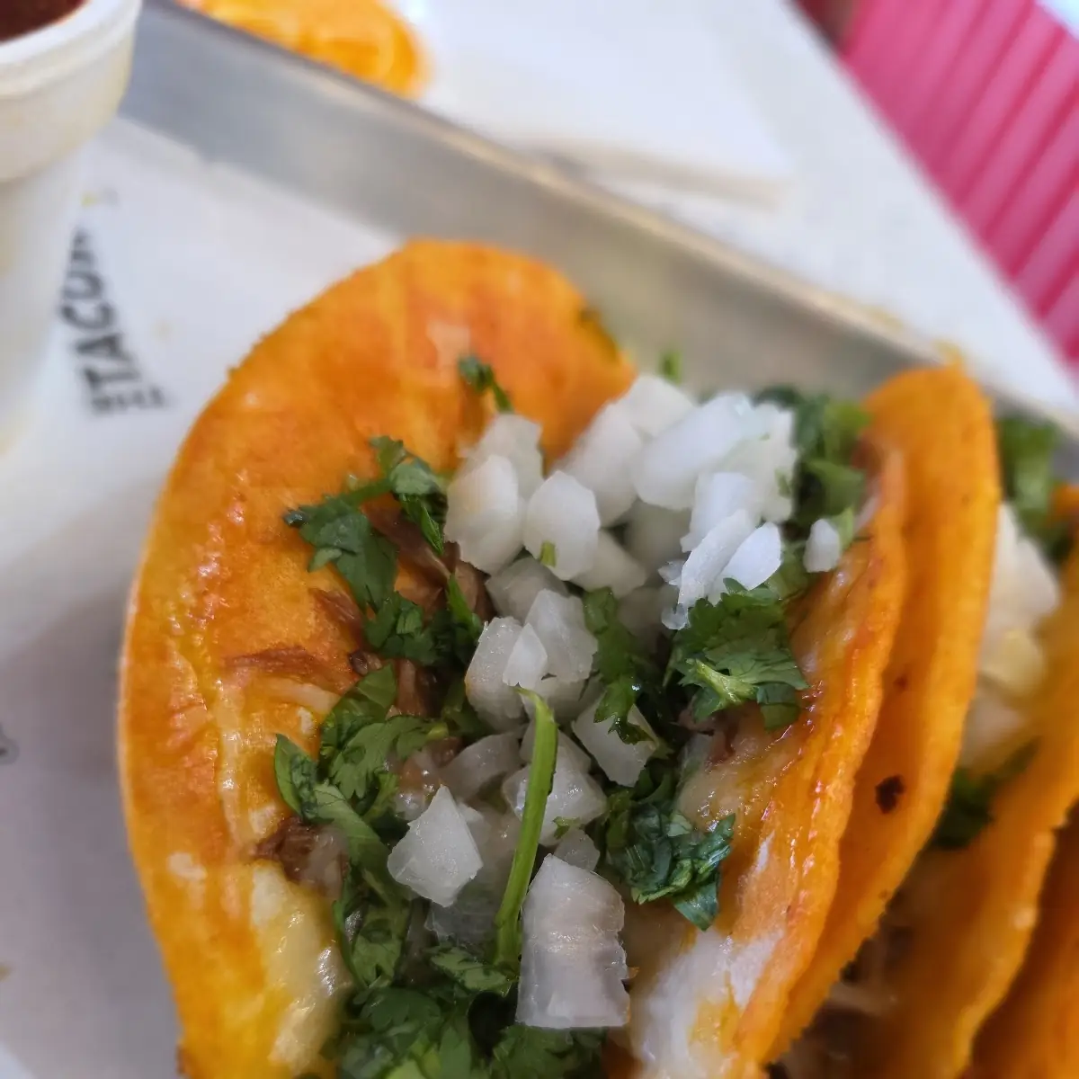 Birria Taco