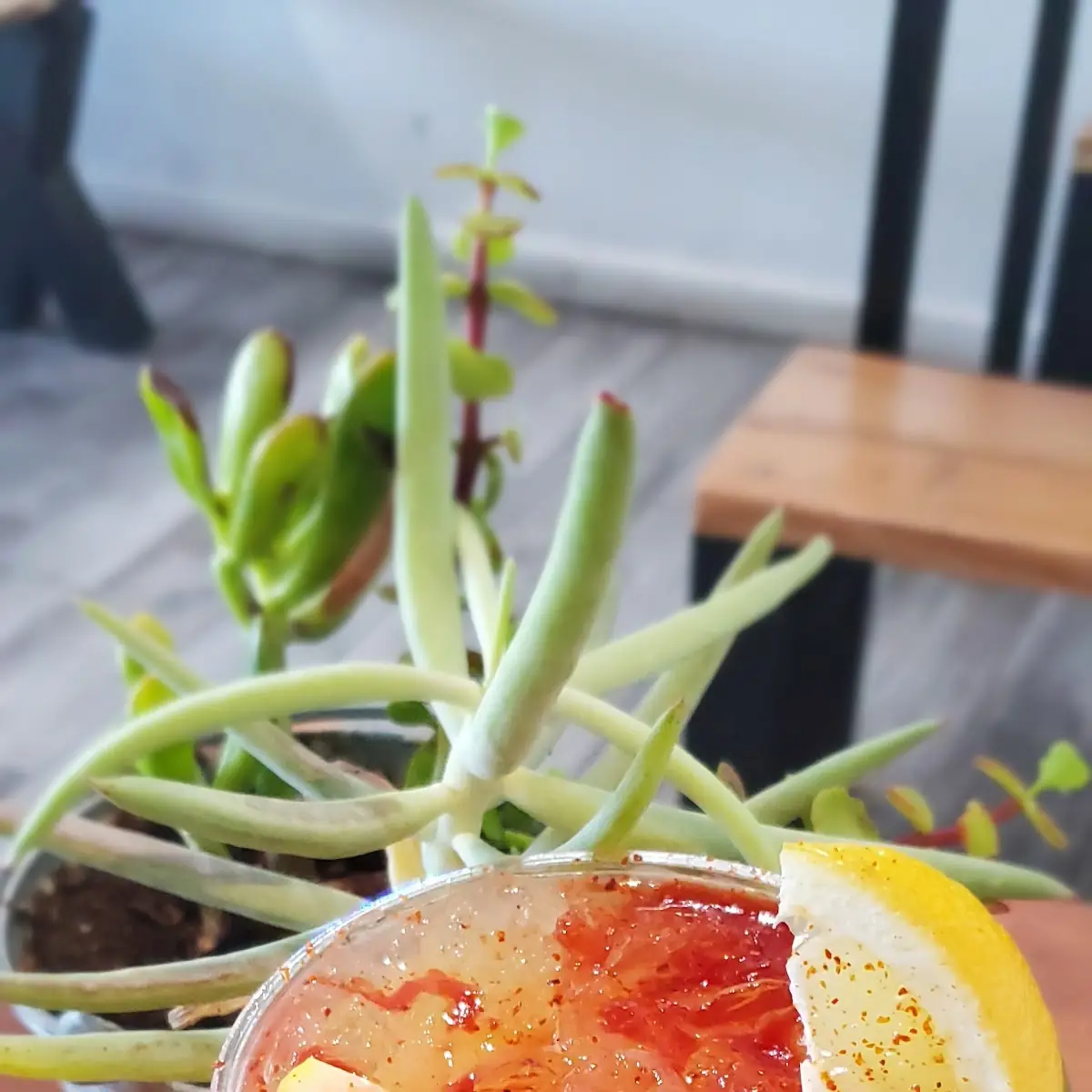 Aqua Fresca