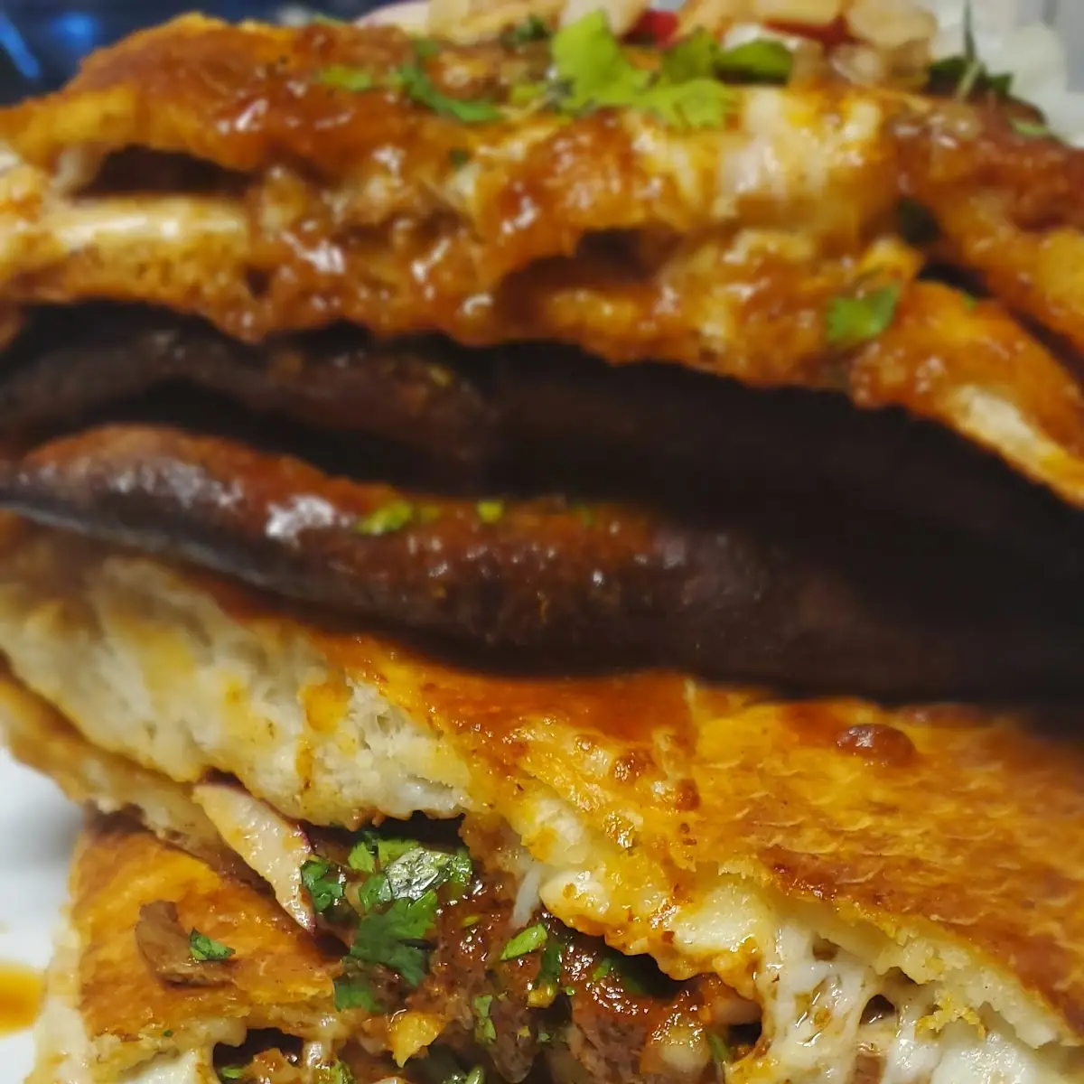 Birria Calzone