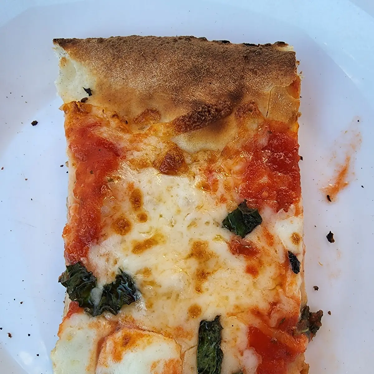Grandma Pizza Slice