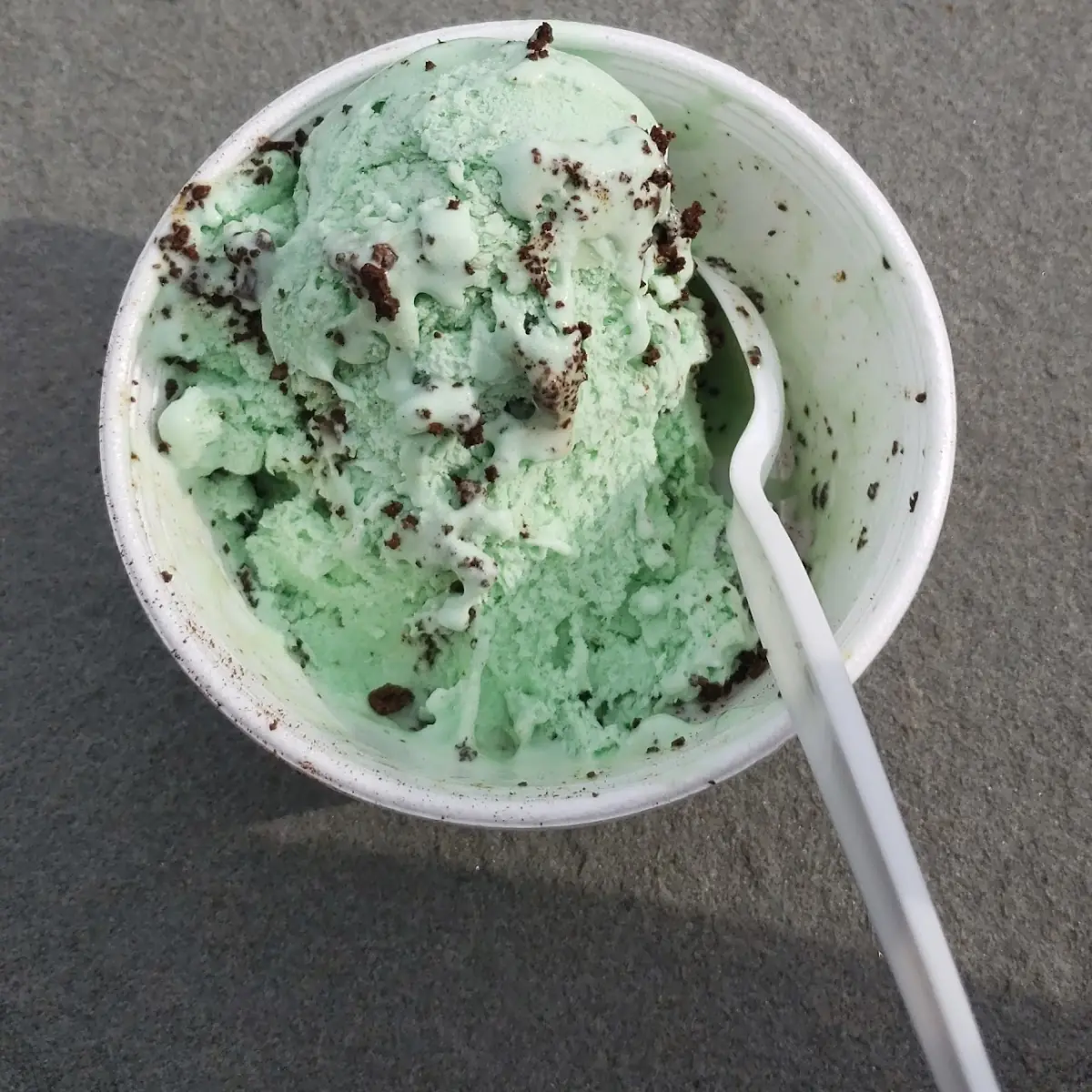 Mint Chocolate Chip Ice Cream