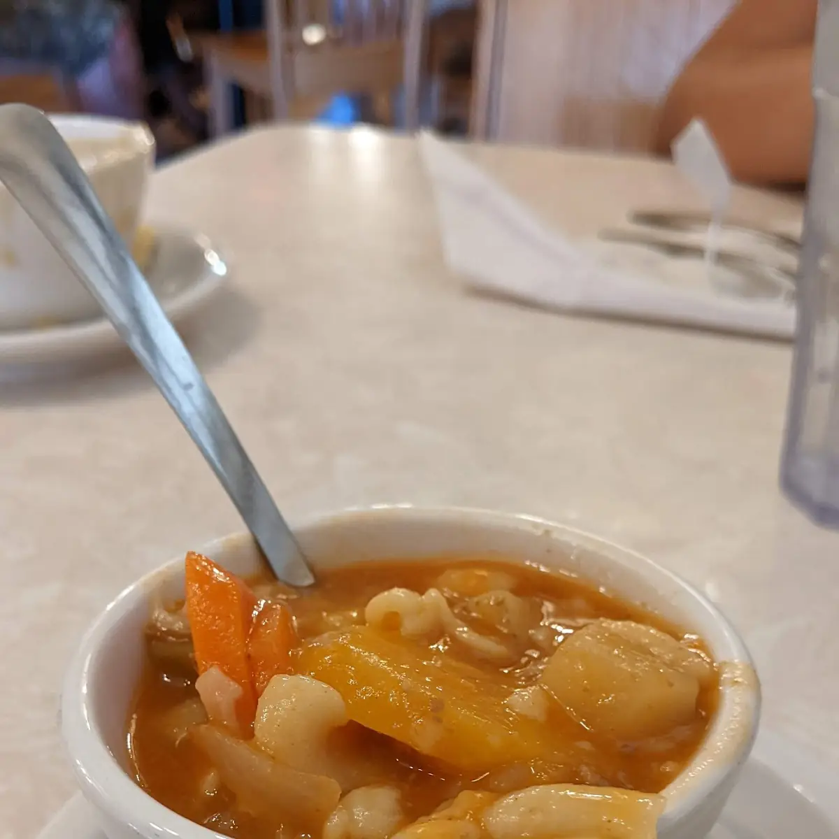 Vegetable Soup