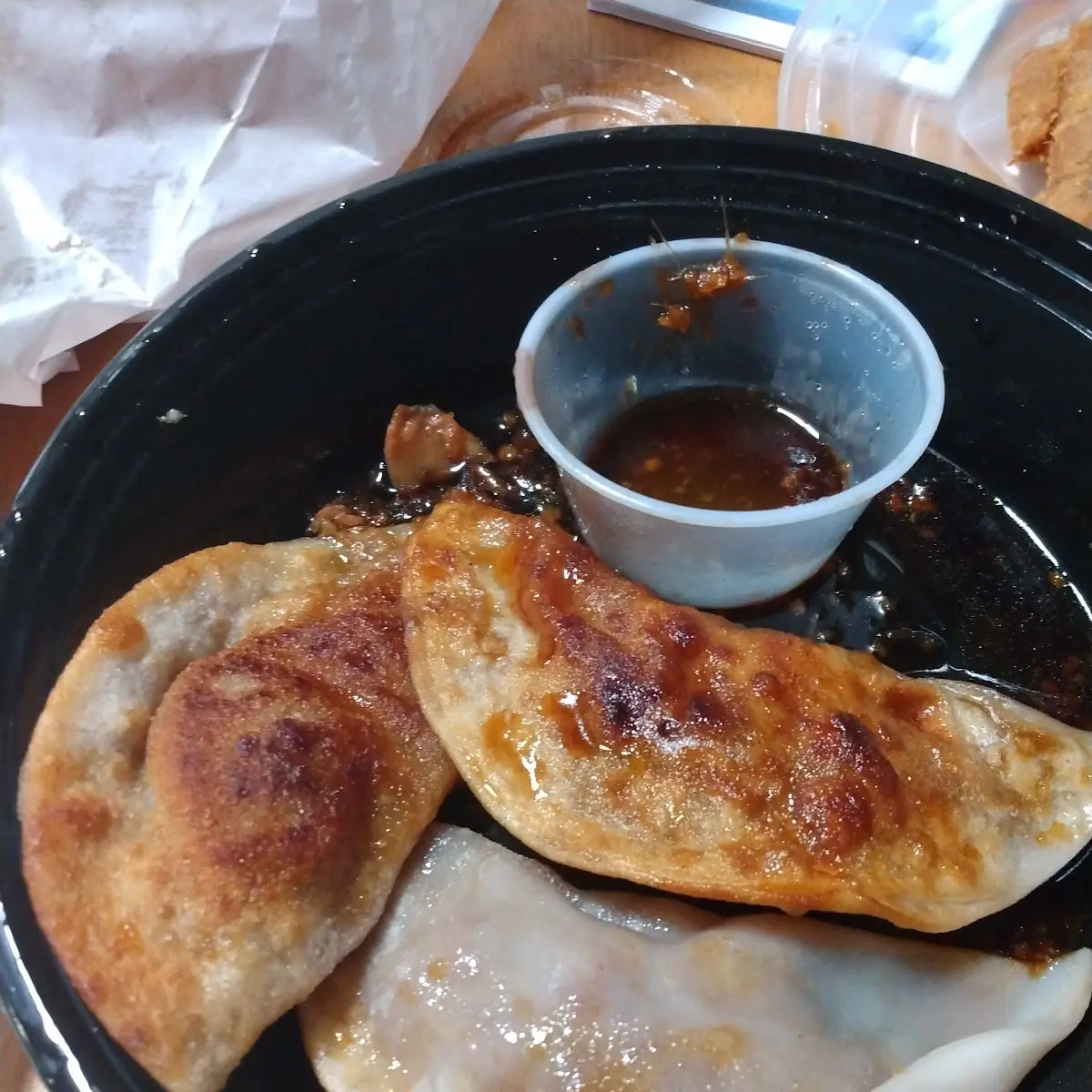Fried Dumplings