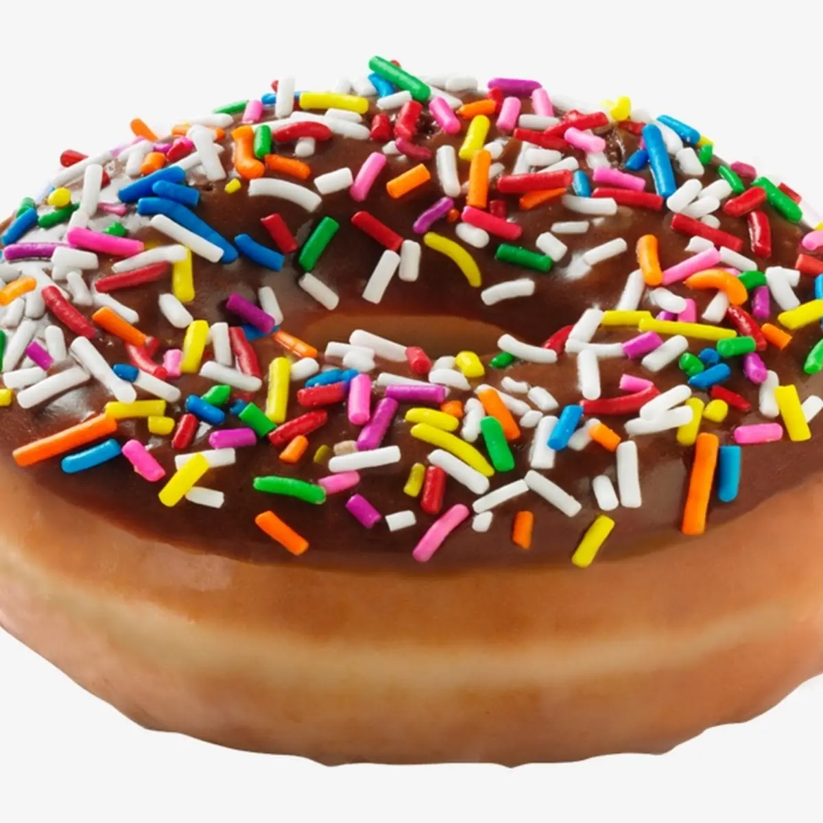 Chocolate Sprinkle Donut