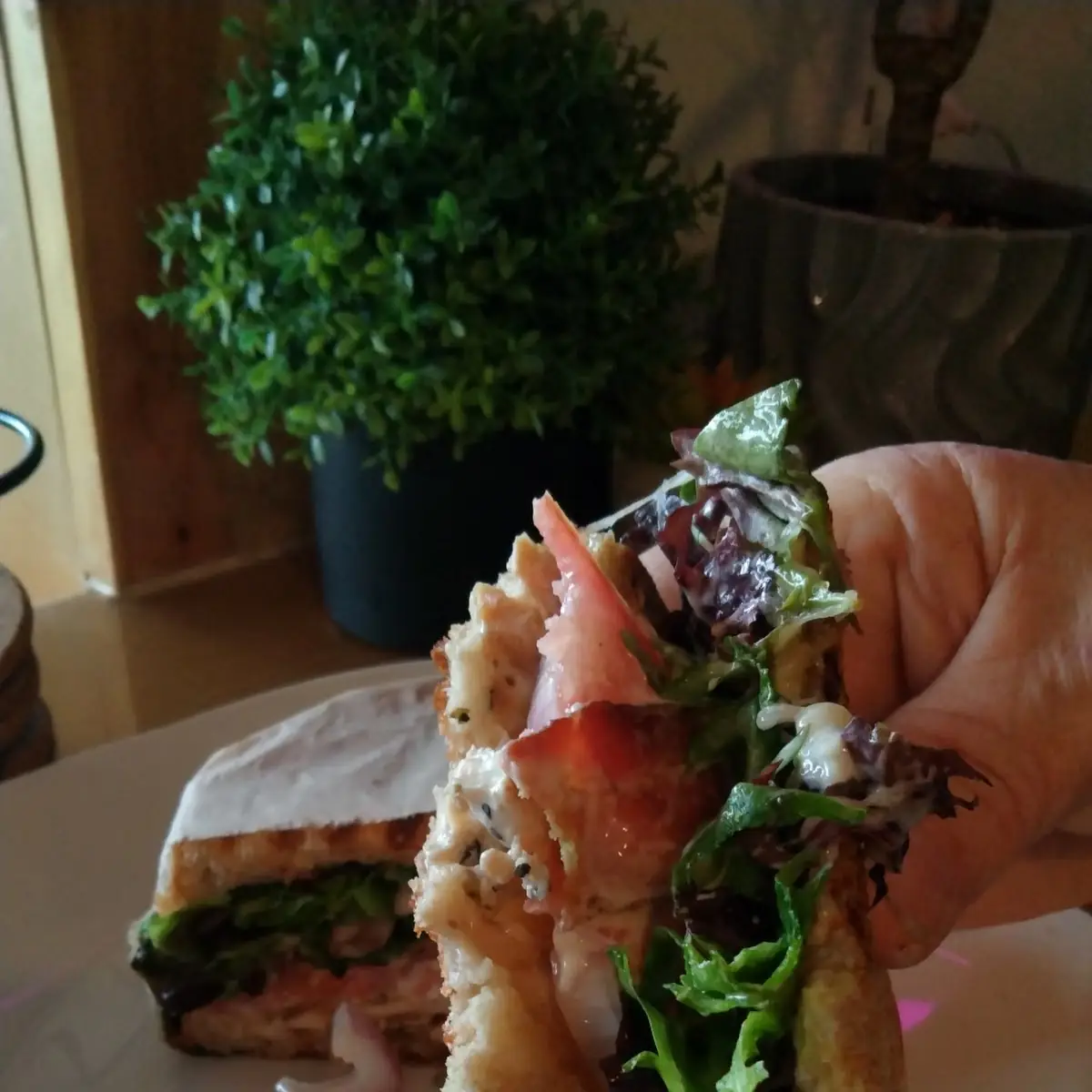 Chicken Sandwich