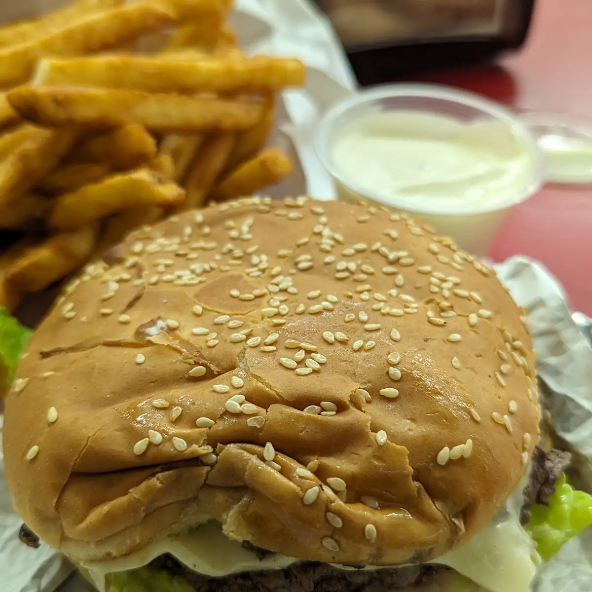 Mushroom Burger