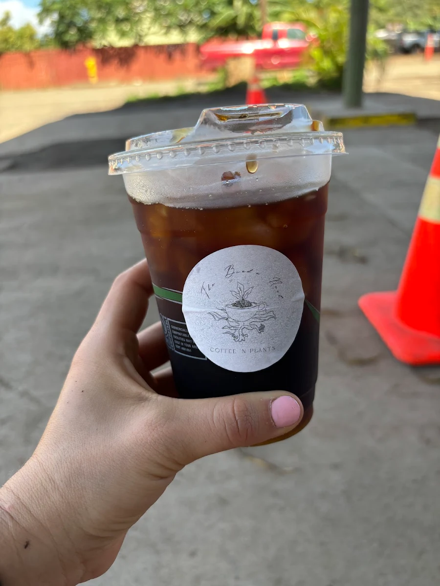 Cold Brew