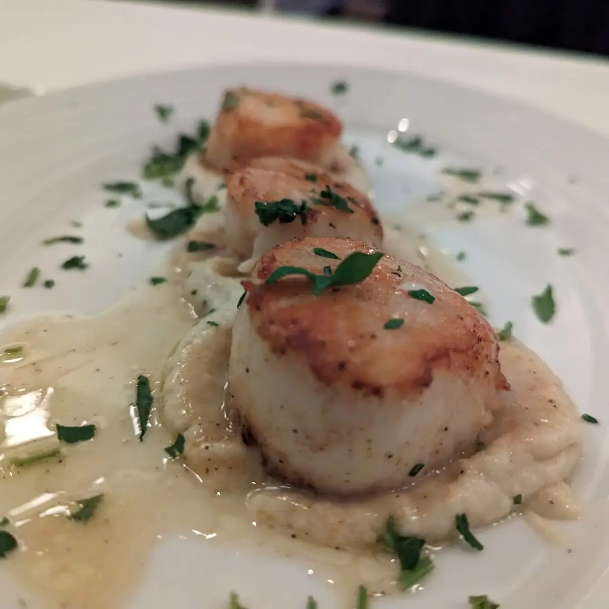 Pan Seared Scallops
