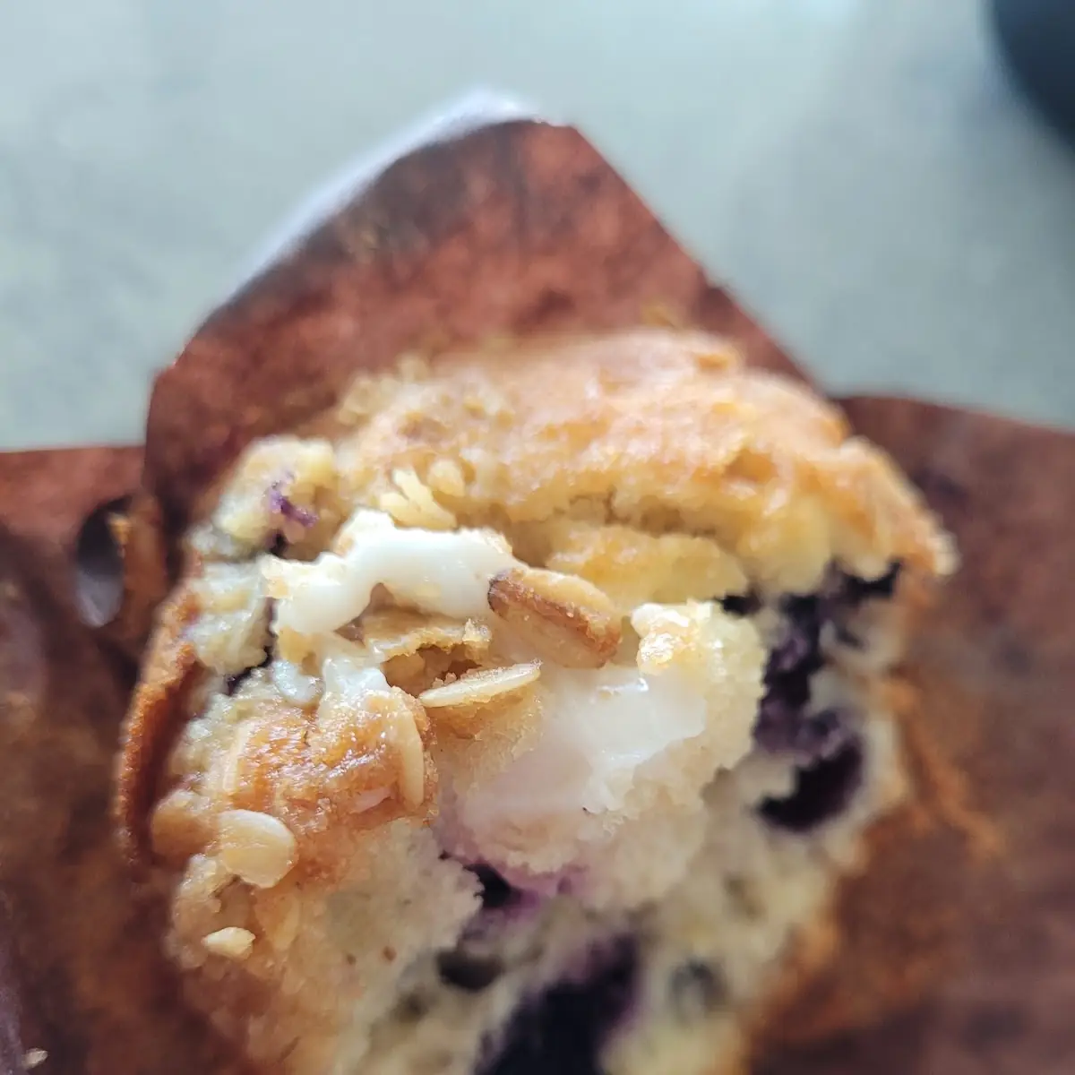 Blueberry Muffin