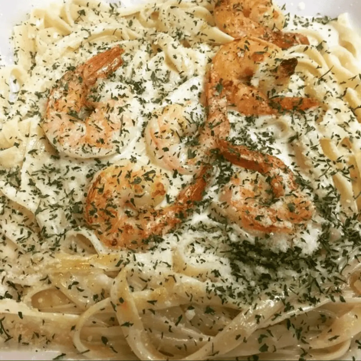 Shrimp Alfredo