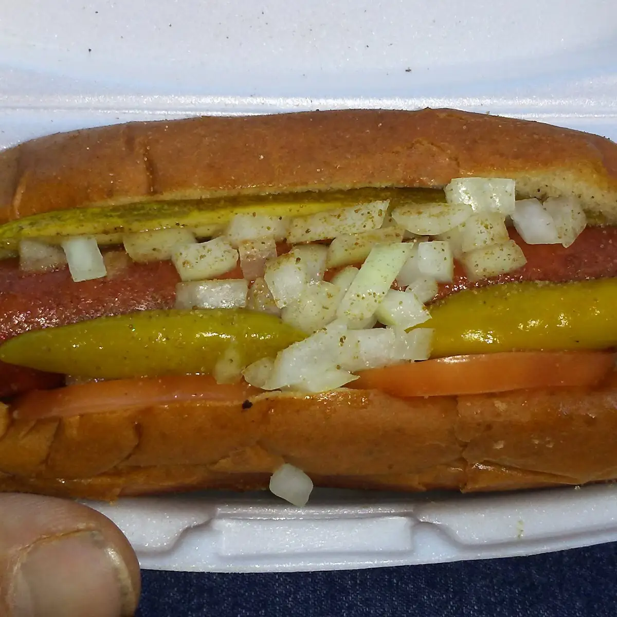 Chicago Style Hot Dog