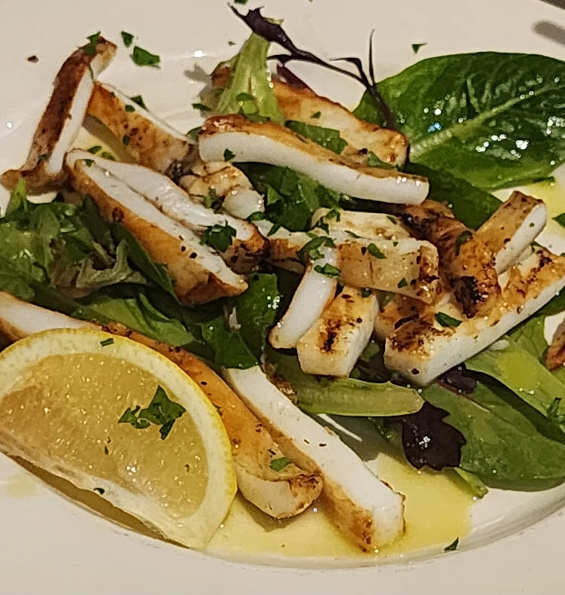 Squid, Doncaster Greek Tavern