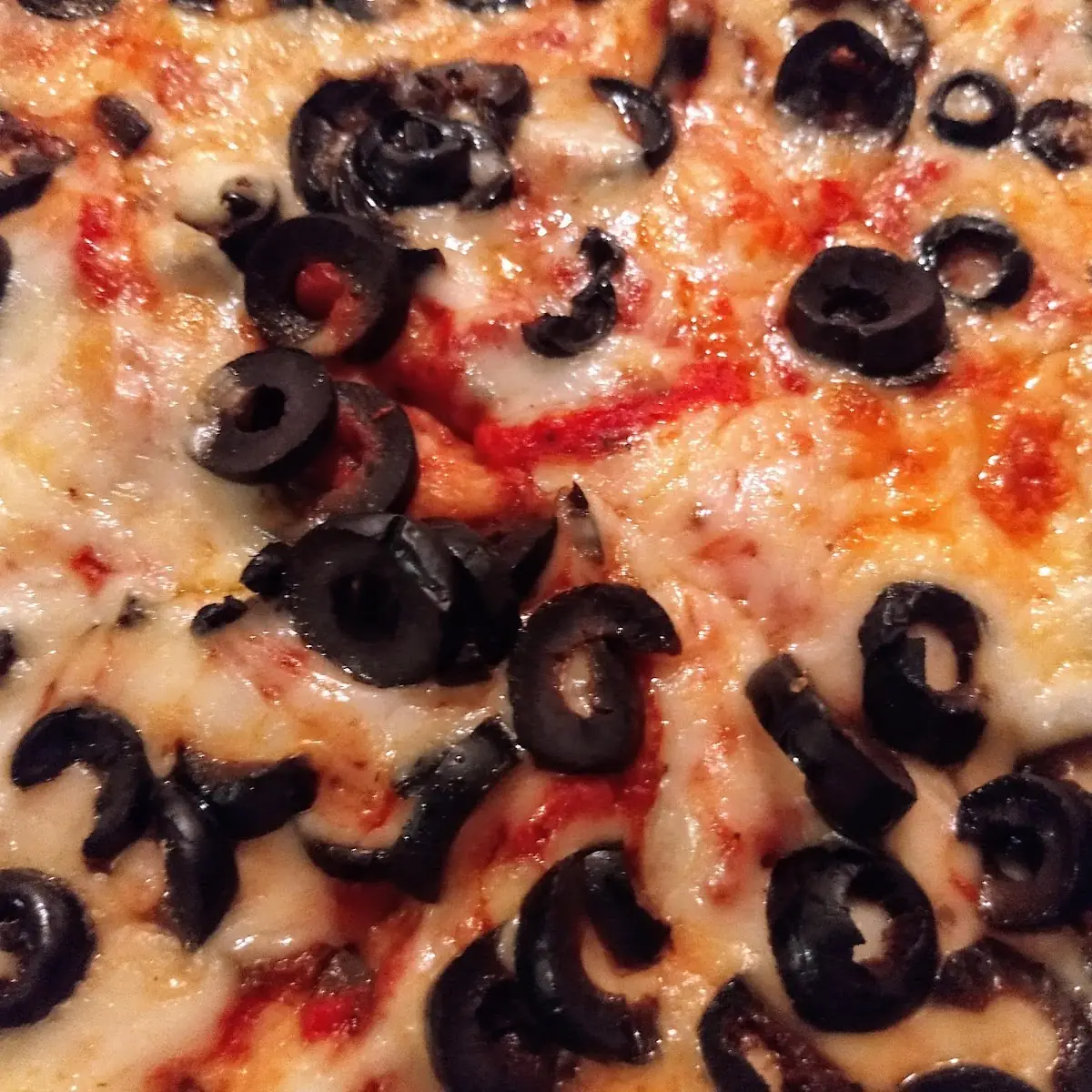 Cheese and Olive Pizza