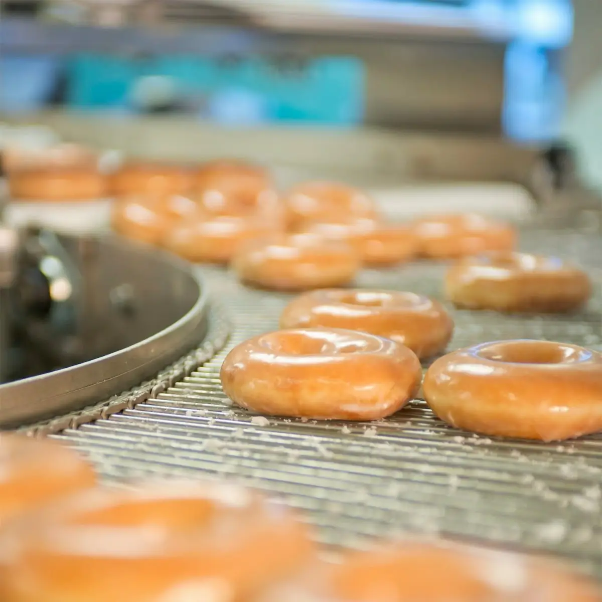 Count Original Glazed Doughnut Dots