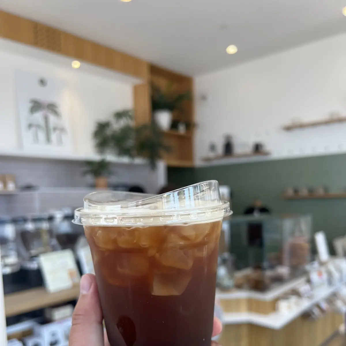 Cold Brew