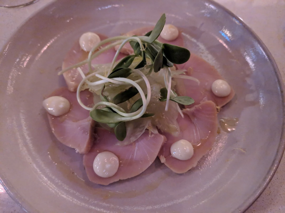 Albacore Tuna