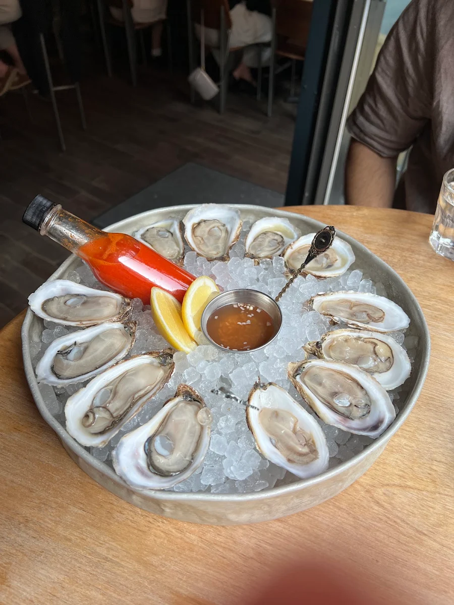 Oysters