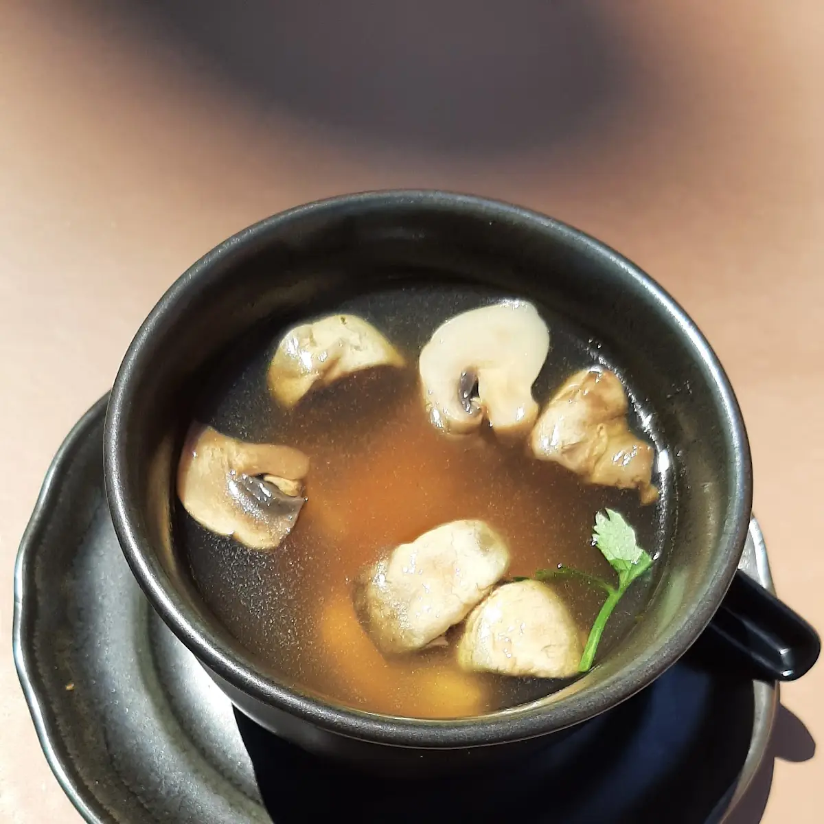 VG - Vegetable Soup (M)