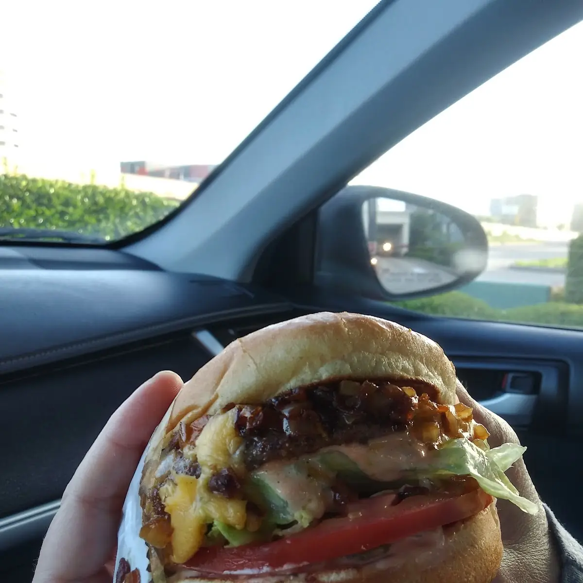 The Double Cheeseburger Animal Style
