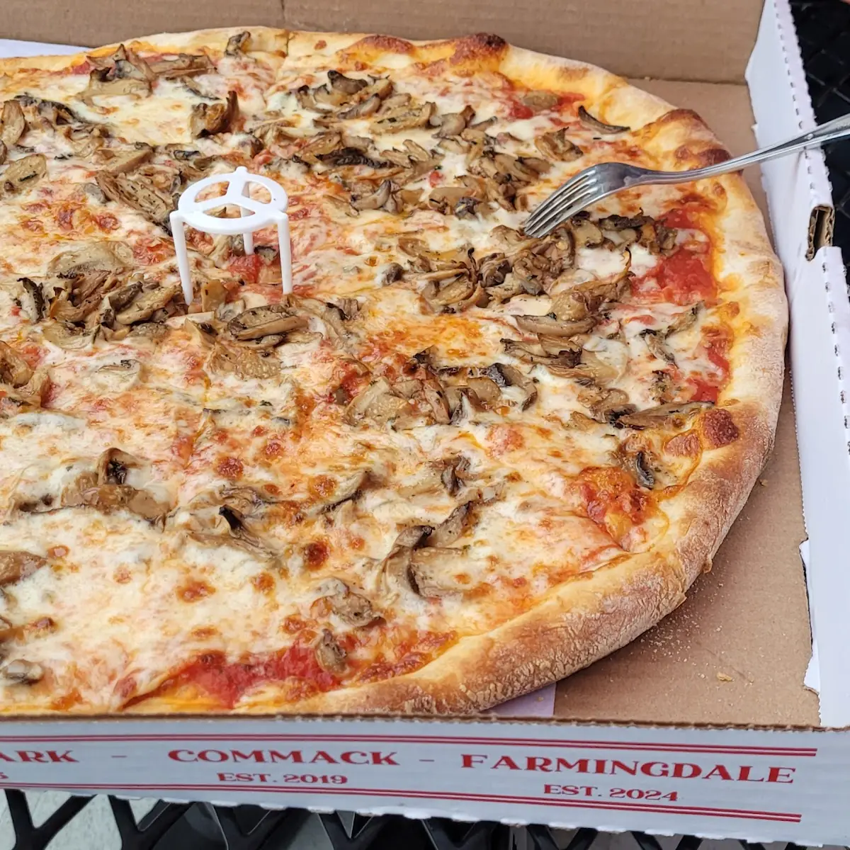 Mushroom Pizza