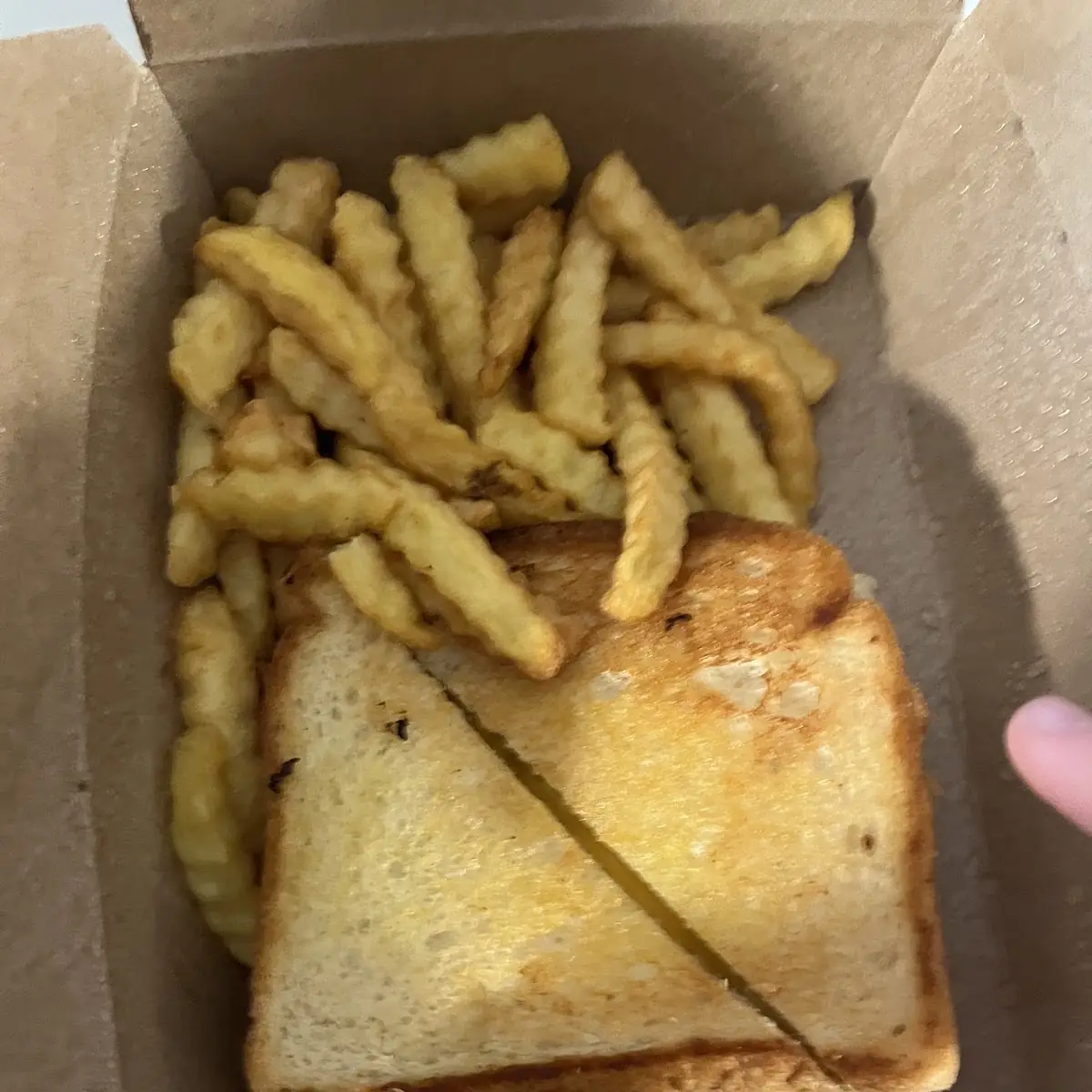 Grilled Cheese and Fries