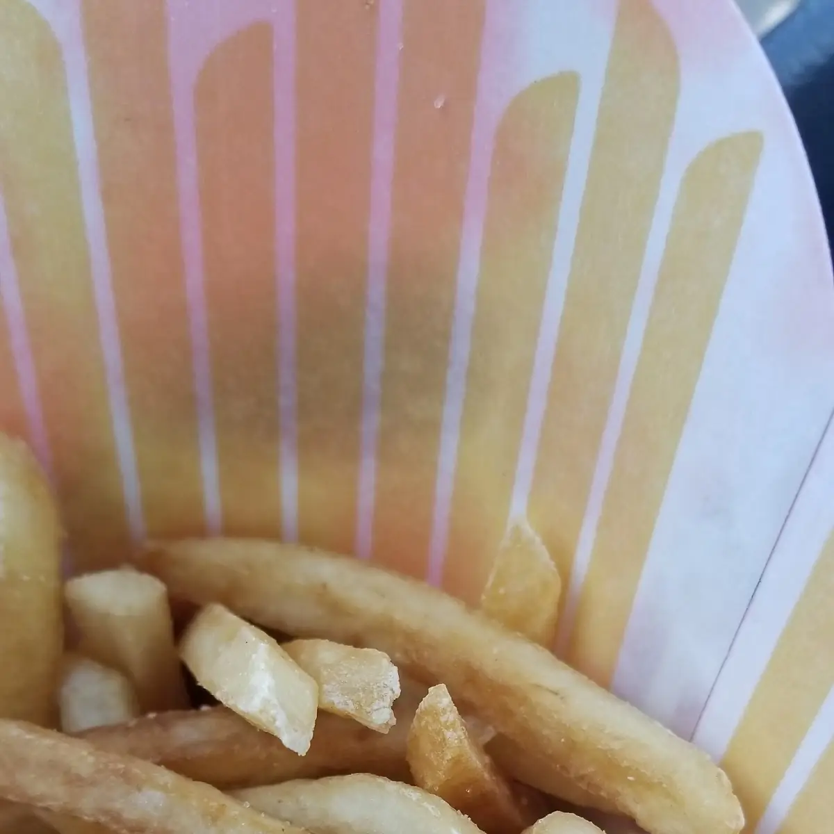 World Famous Fries