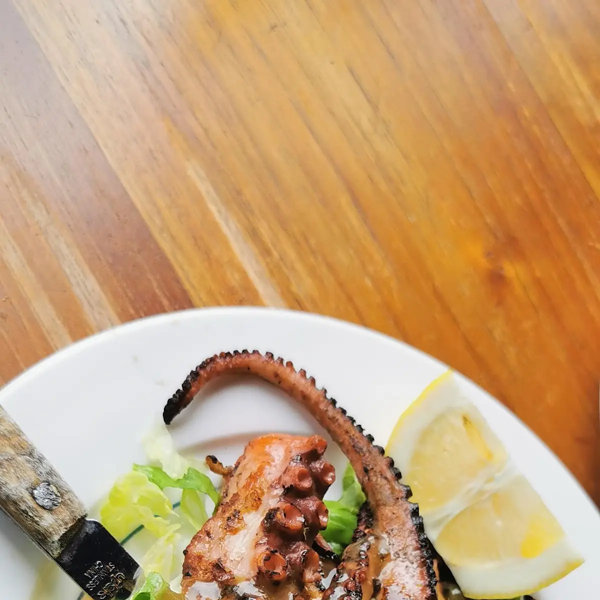 Char Grilled Octopus