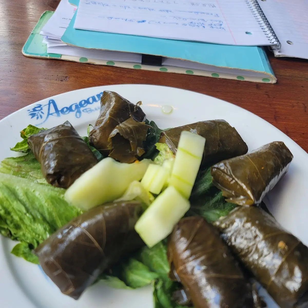 Stuffed Grape Leaves