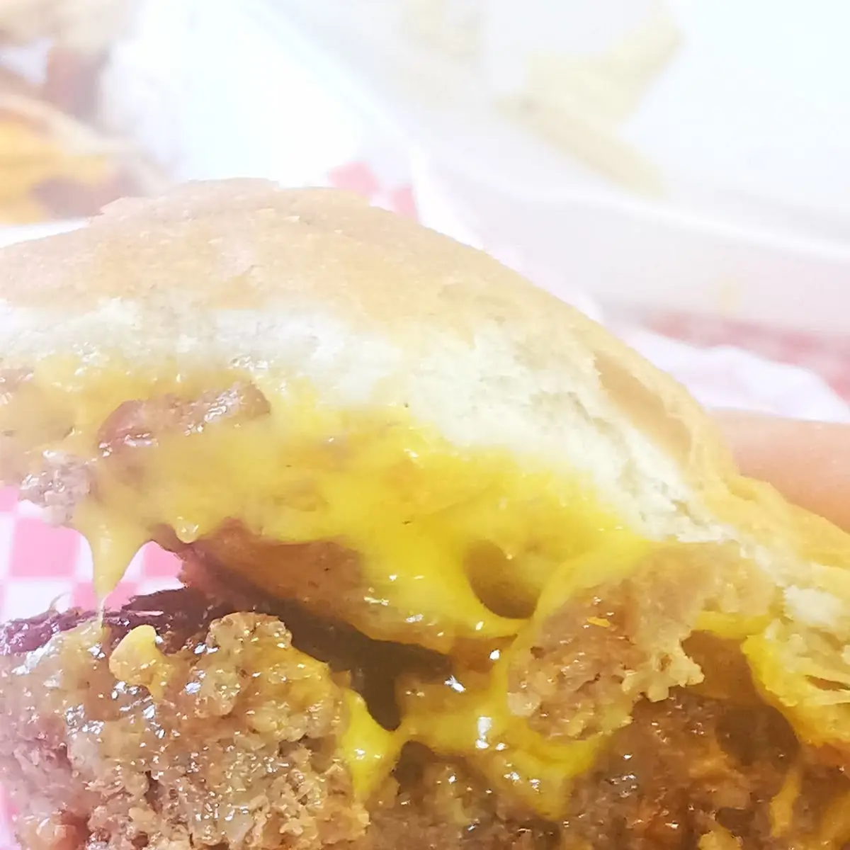 Double Cheeseburger