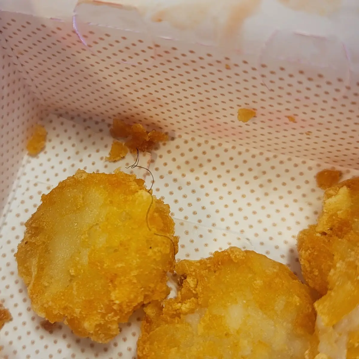 Hair in Hash Browns