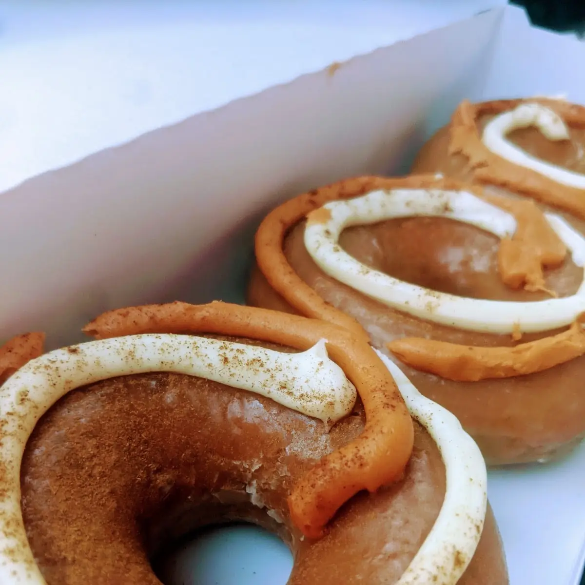Pumpkin Spice Cheesecake Donuts