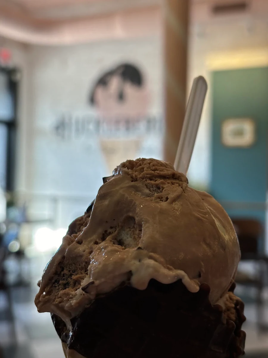 Java Ice Cream in a Dark Chocolate Waffle Cone