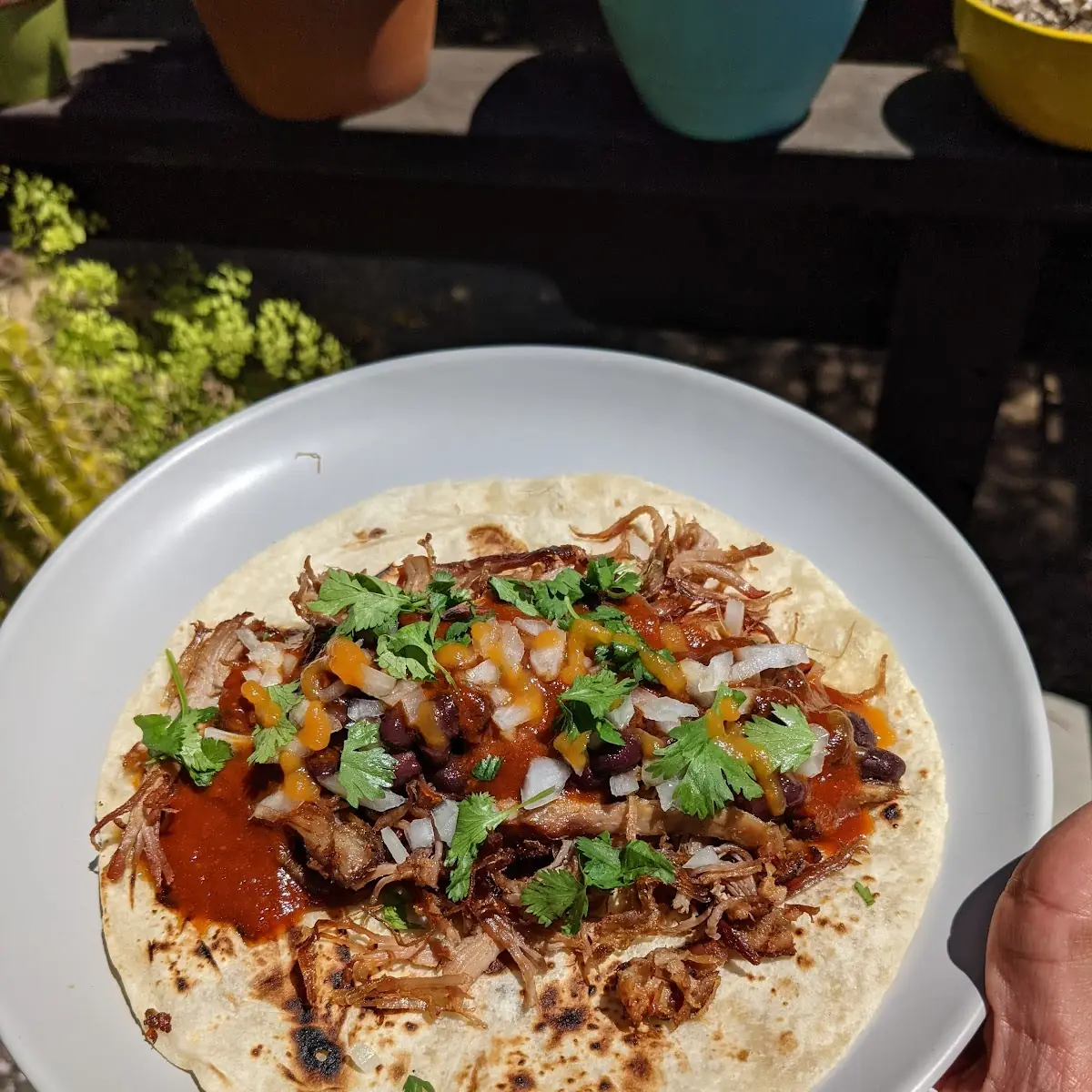 Hard Taco