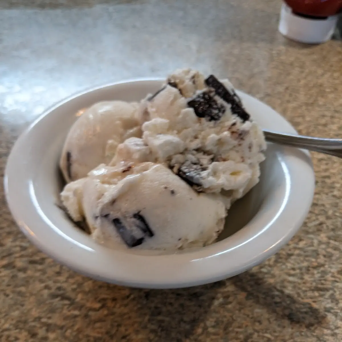 Chocolate Chip Ice Cream