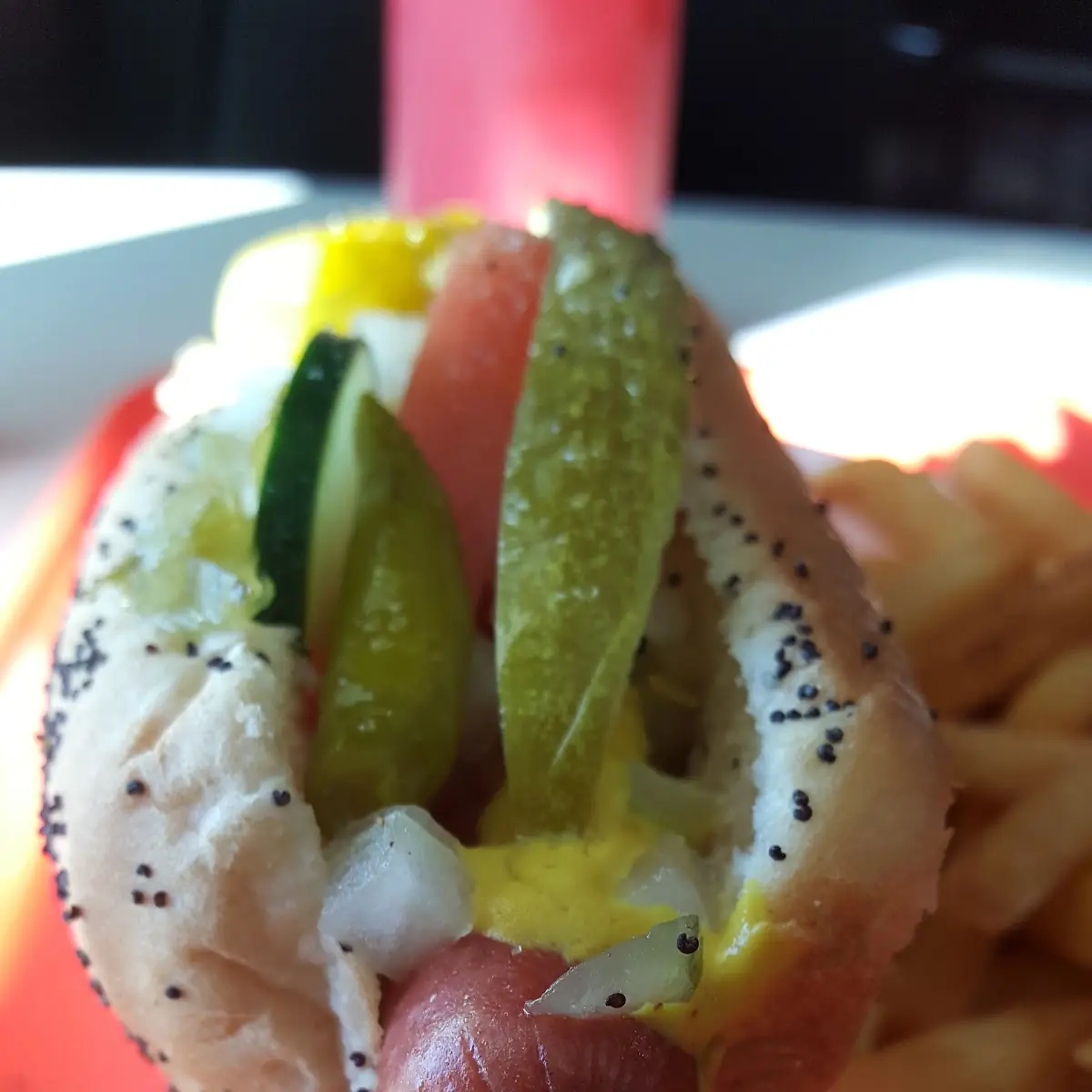 Hot Dog Mini
