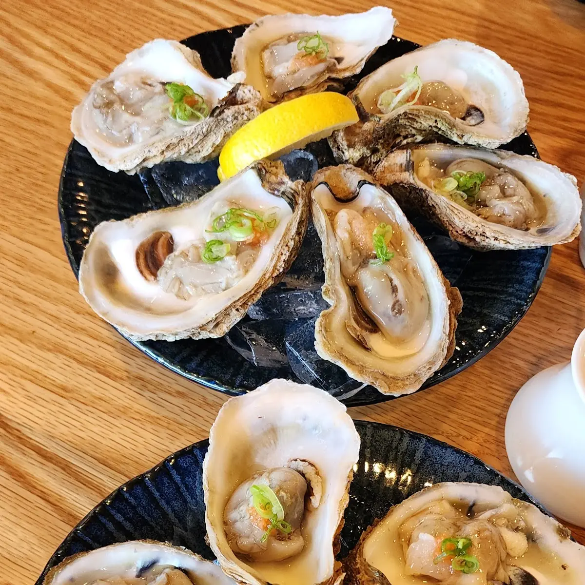 Fresh Oysters