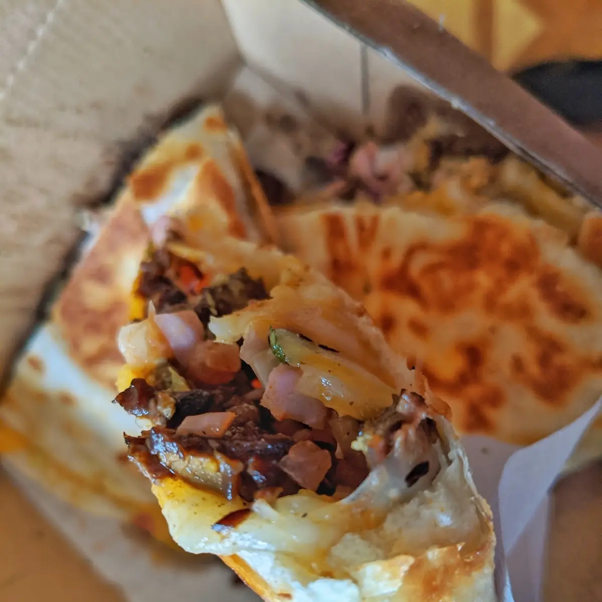 Steak Quesadilla