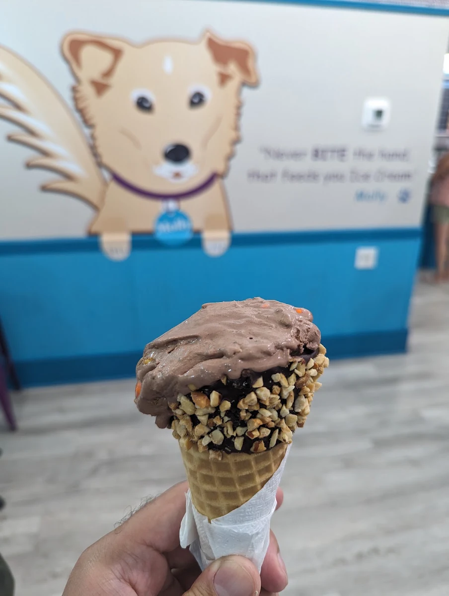 Peanut Butter Perfection