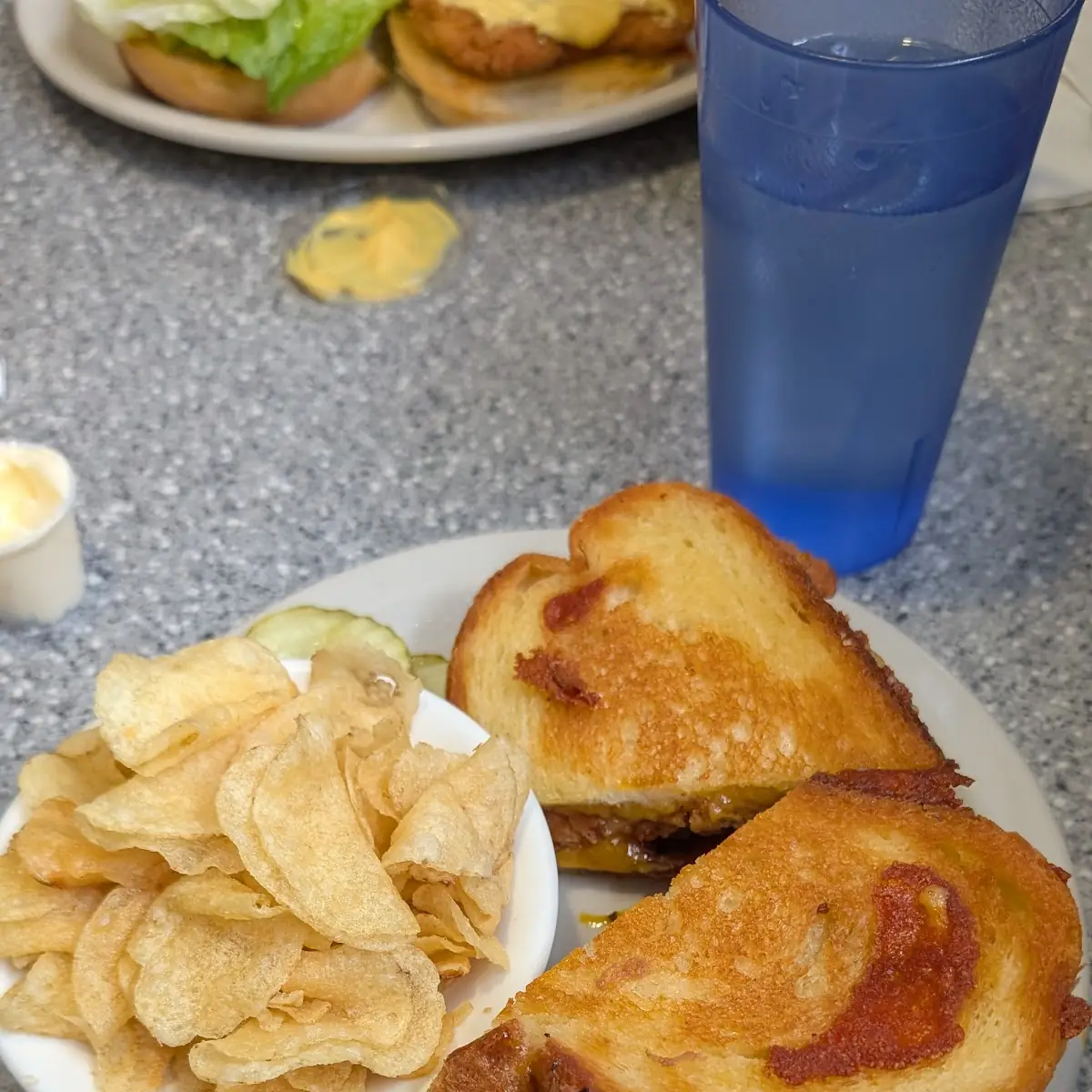 Carolina Chicken Panini Special