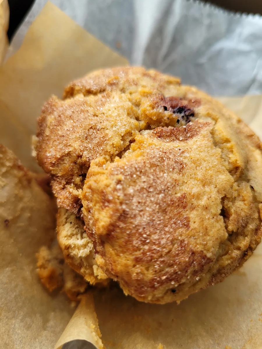 Sift GF Blueberry Muffin