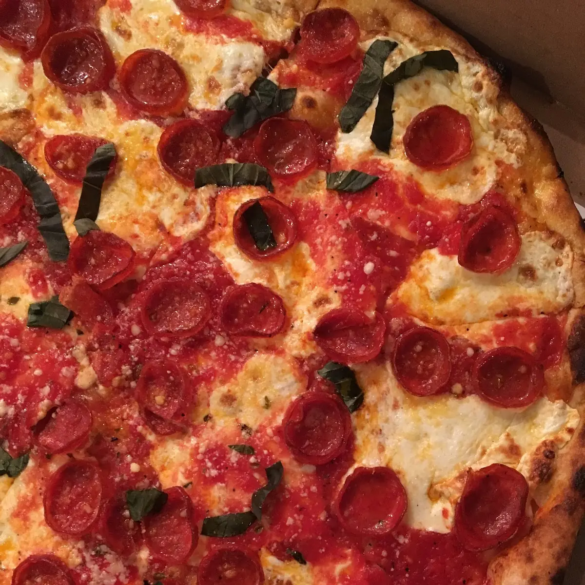 Pizza Margherita