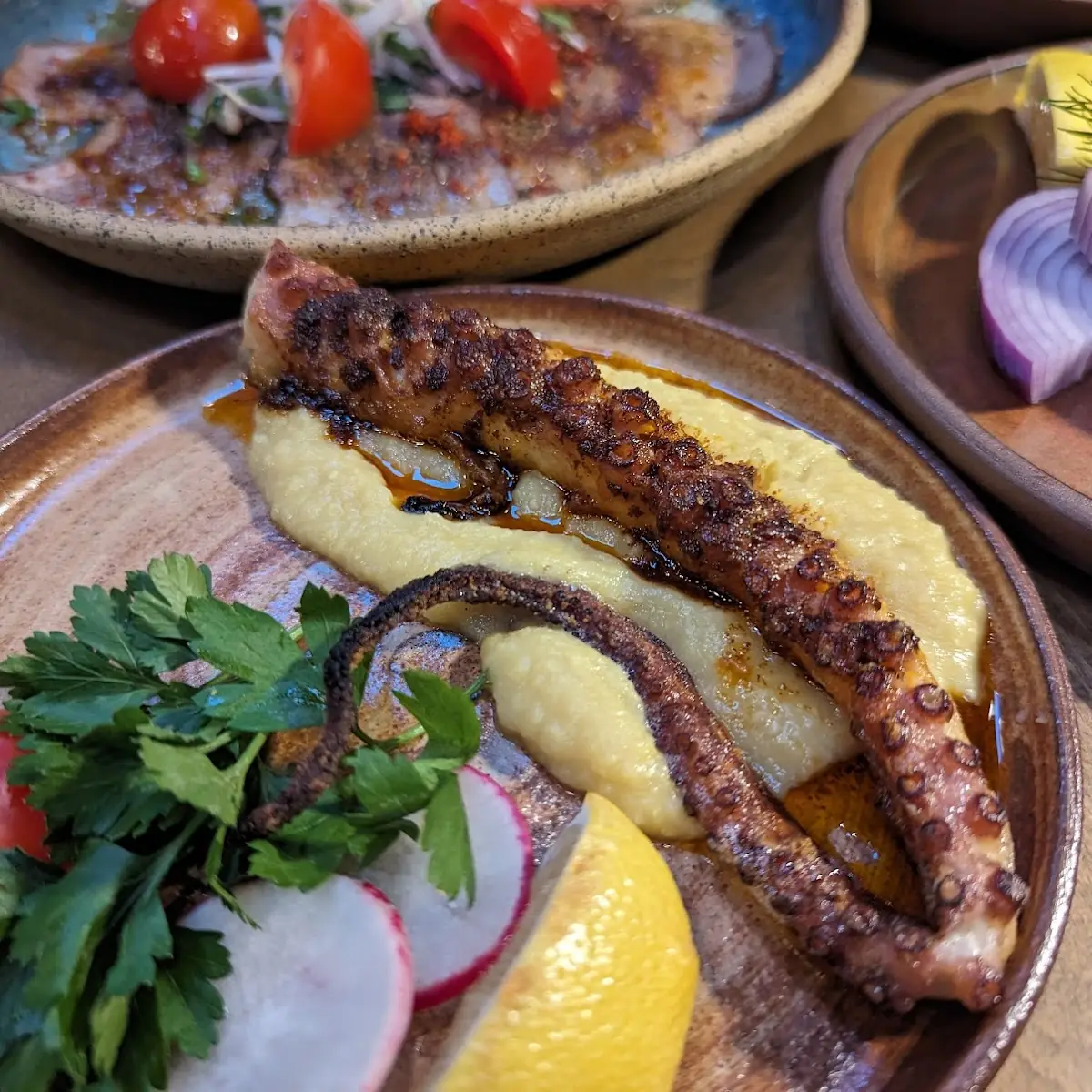 Grilled Octopus