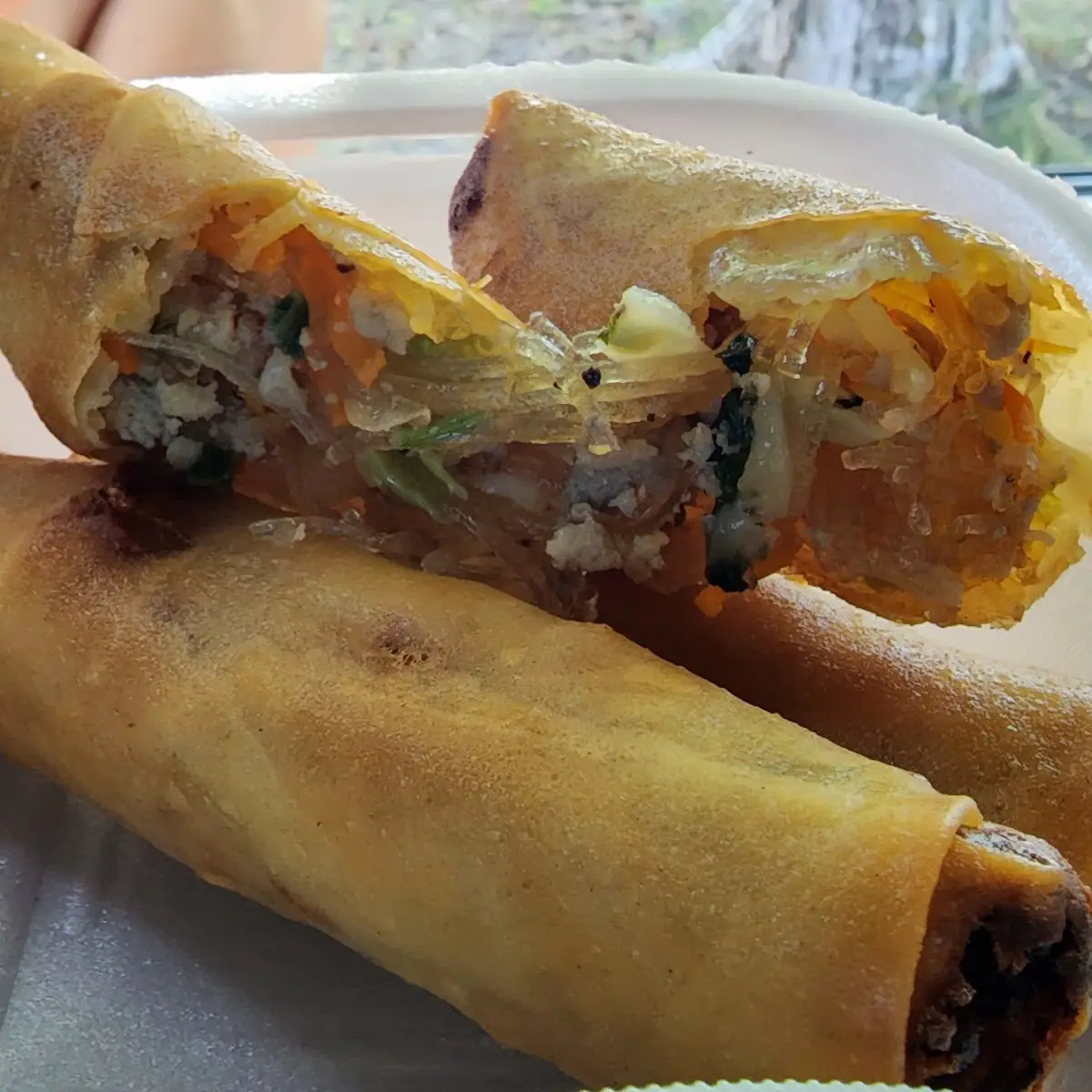 Spring Roll
