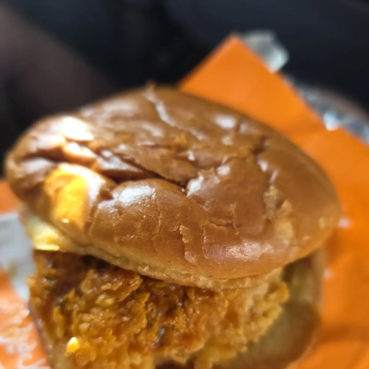 Chicken Burger Combo