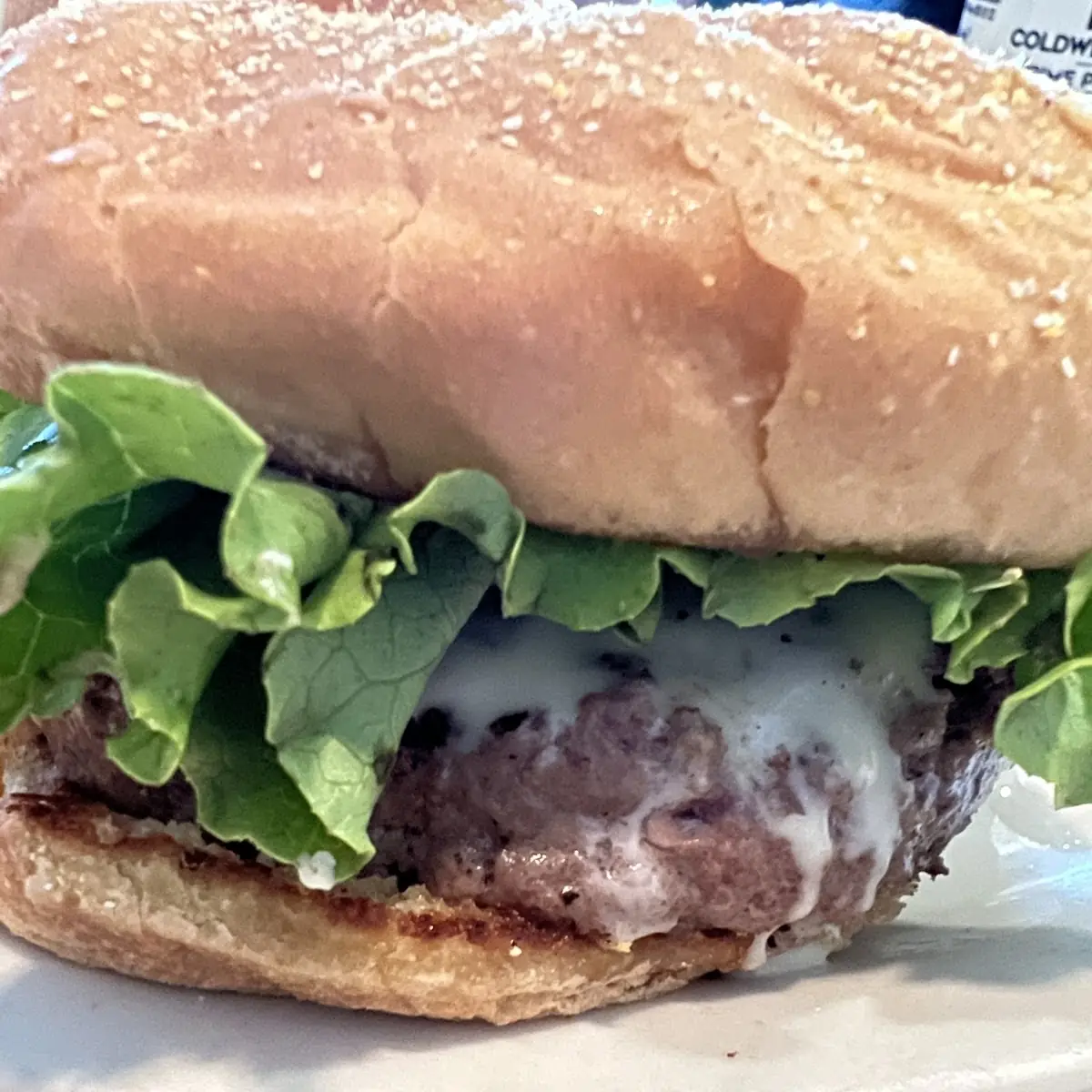 Cheese Burger