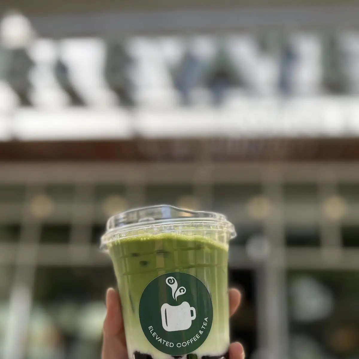 Iced Green Tea Lattes
