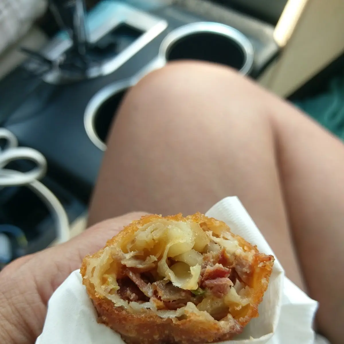 Redneck Egg Rolls