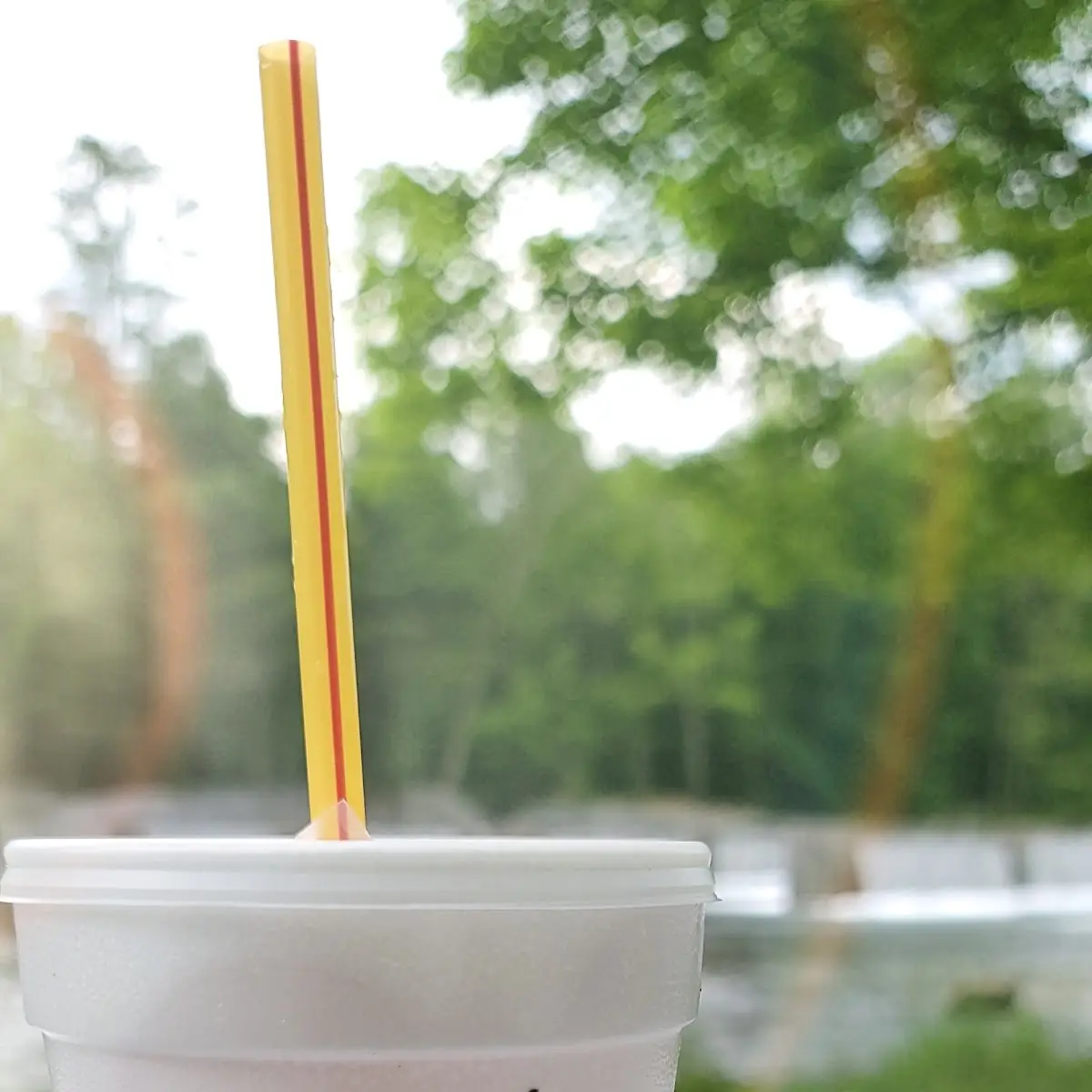 Strawberry Shake
